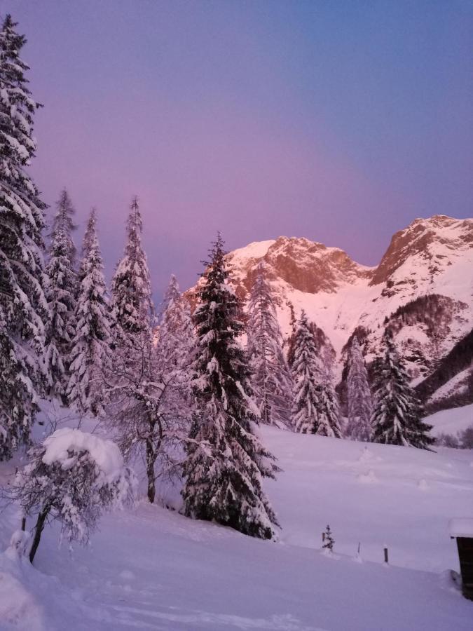 Reithgut Apartman Sankt Martin am Tennengebirge Kültér fotó