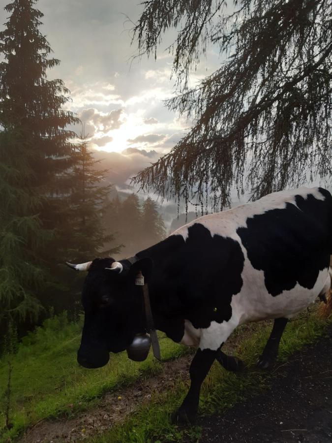 Reithgut Apartman Sankt Martin am Tennengebirge Kültér fotó